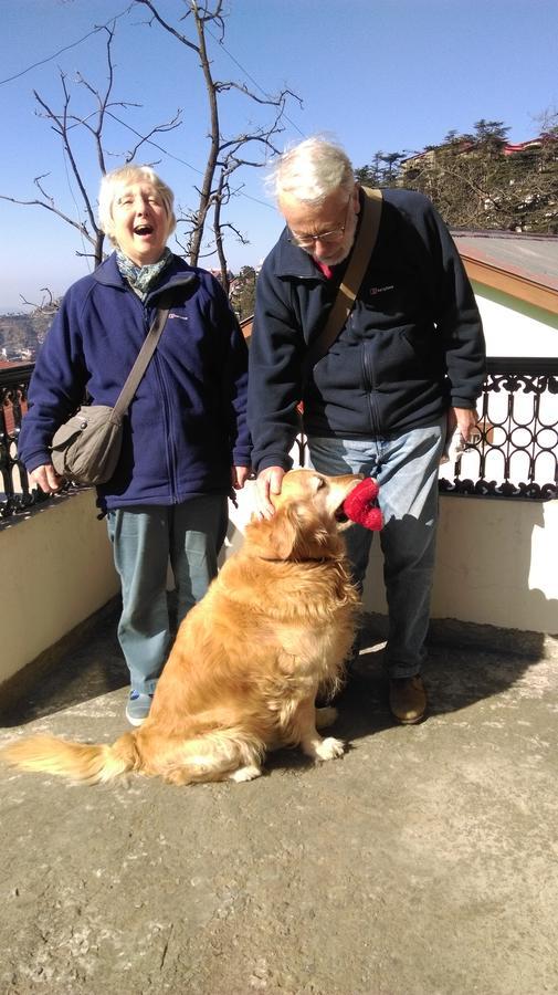 The Thistle Lodge Shimla Esterno foto