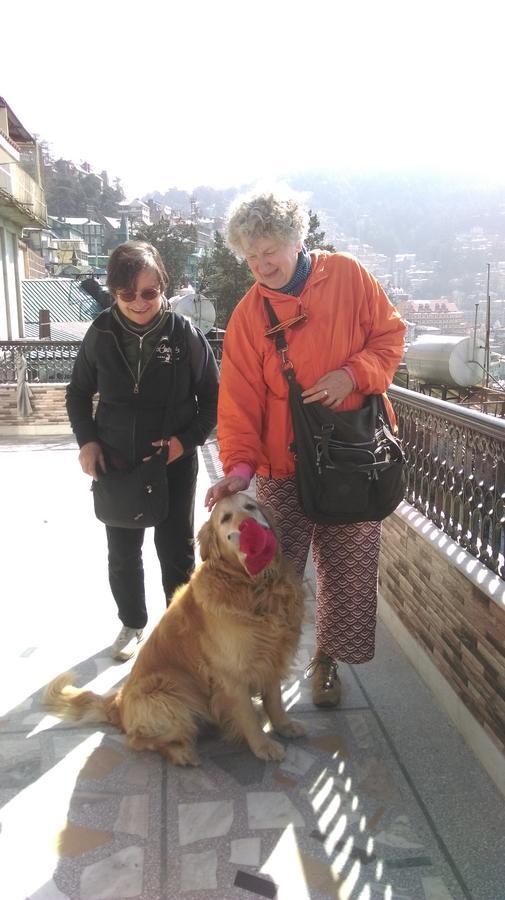 The Thistle Lodge Shimla Esterno foto